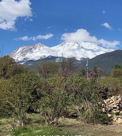 Angel Cottage With A Sauna Or The Cozy With A Jacuzzi Tub, Both Are Studios With A View Of Mount Shasta Bagian luar foto