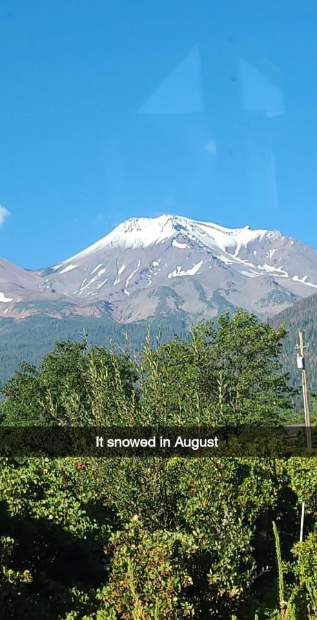 Angel Cottage With A Sauna Or The Cozy With A Jacuzzi Tub, Both Are Studios With A View Of Mount Shasta Bagian luar foto