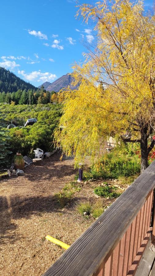 Angel Cottage With A Sauna Or The Cozy With A Jacuzzi Tub, Both Are Studios With A View Of Mount Shasta Bagian luar foto