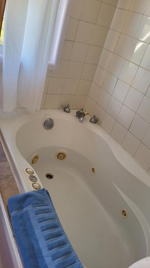 Angel Cottage With A Sauna Or The Cozy With A Jacuzzi Tub, Both Are Studios With A View Of Mount Shasta Bagian luar foto
